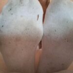 Använda svettiga strumpor