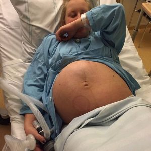 Gravid