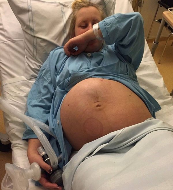 Gravid