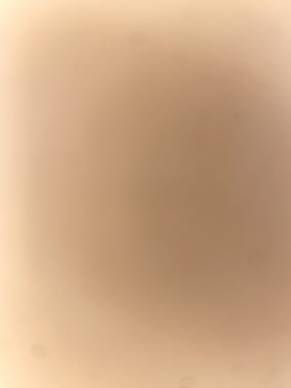 Nakenbilder
