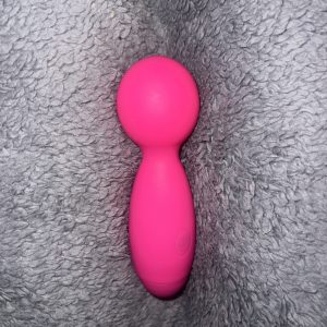 Vibrator